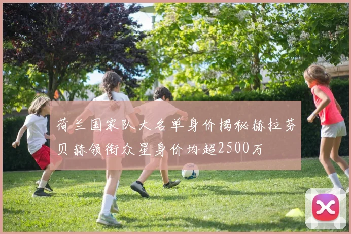 荷兰国家队大名单身价揭秘赫拉芬贝赫领衔众星身价均超2500万
